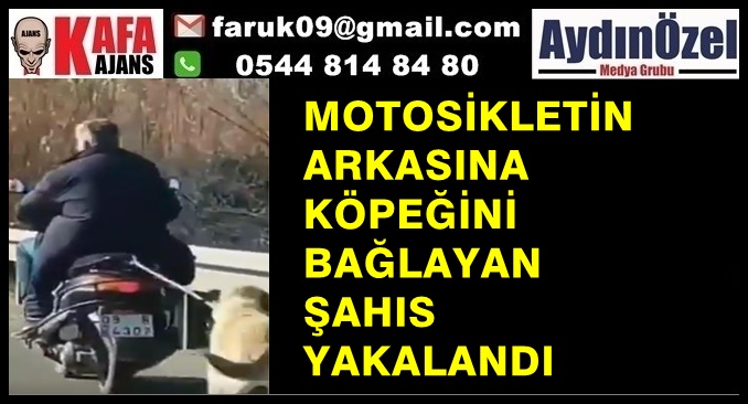 MOTOSİKLETİN ARKASINA  KÖPEĞİNİ BAĞLAYAN  ŞAHIS  YAKALANDI